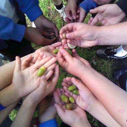 Science Longitudinal Study – Year 2 Autumn